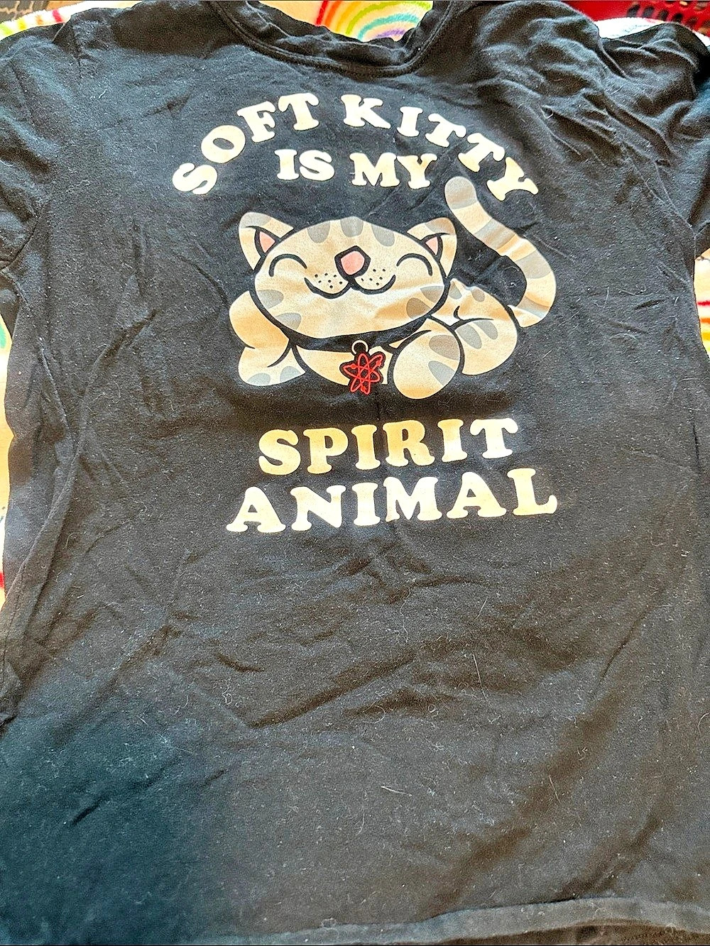 The Big Bang Theory Soft Kitty Is My Spirit Animal Graphic Tee ladies XL Black